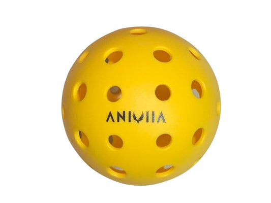 Aniviia Outdoor Ball